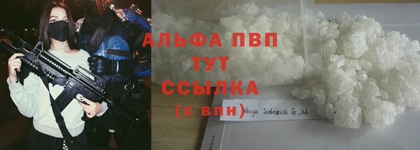 spice Белокуриха